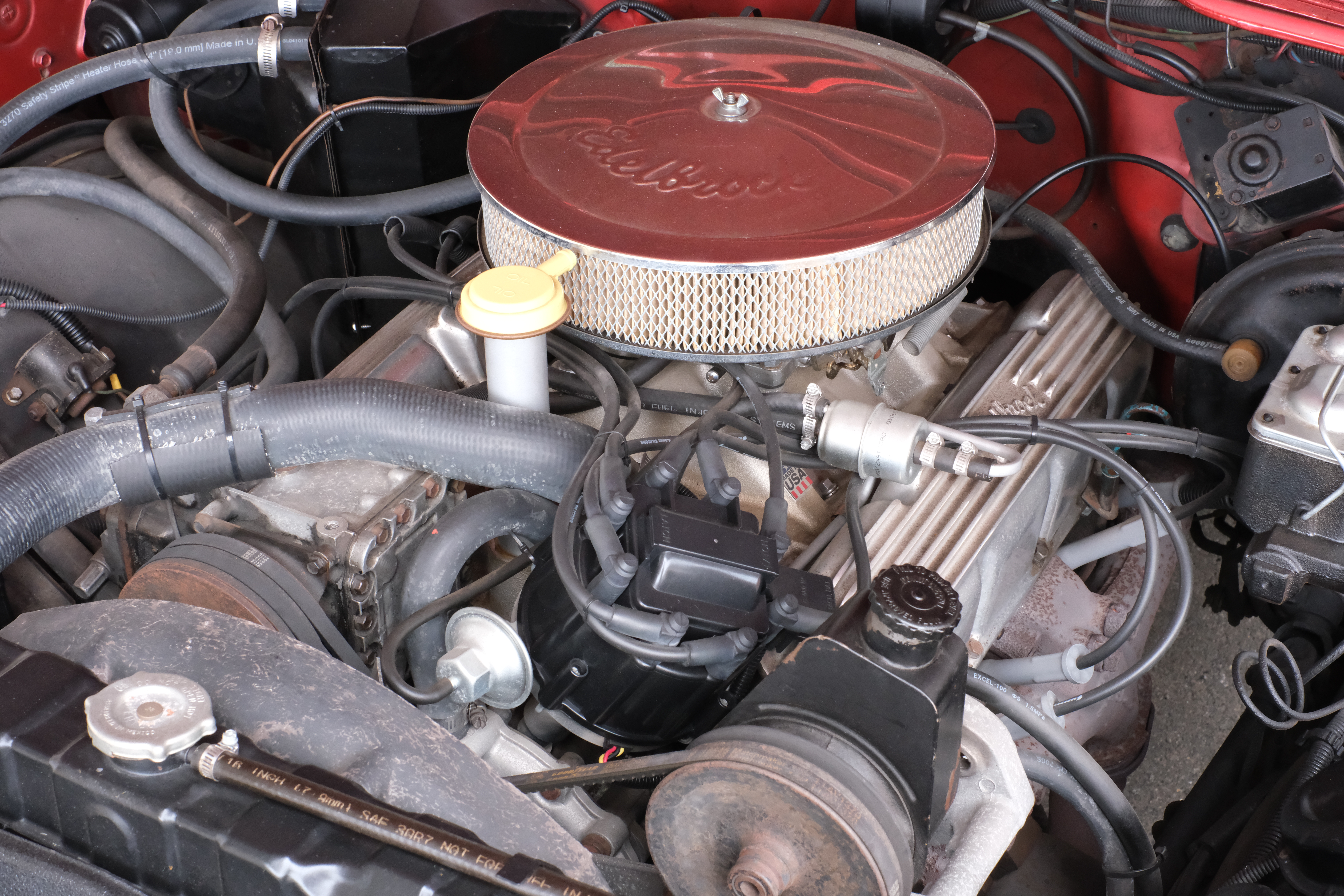DSCF2405.JPG